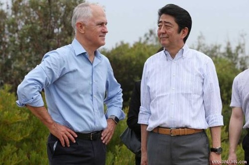 Премьер-министр Японии Синдзо Абэ посещает Австралию - ảnh 1